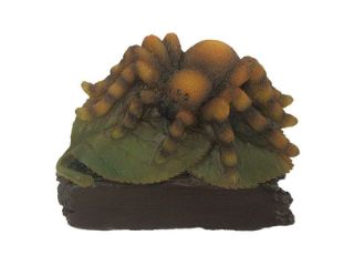 Obrázek z Pavouk poly magnet 6x5cm 